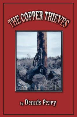 Book cover for The Copper Thieves