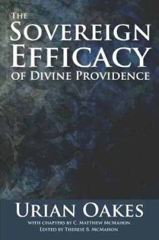 Cover of The Sovereign Efficacy of Divine Providence