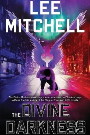 Cover of The Divine Darkness
