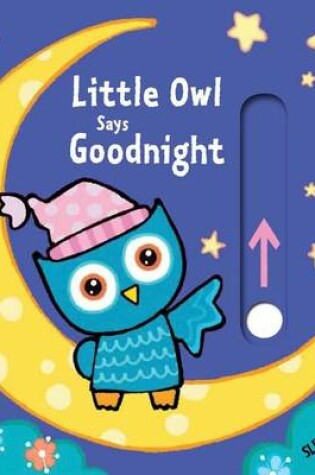Cover of Little Owl Says Goodnight