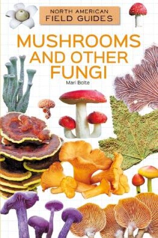 Cover of Mushrooms and Other Fungi