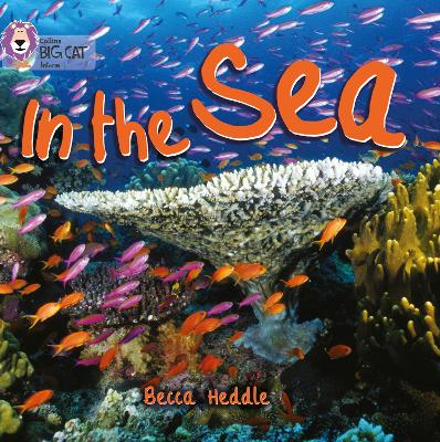 Book cover for In the Sea