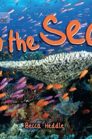 Cover of In the Sea