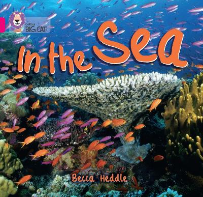 Cover of In the Sea