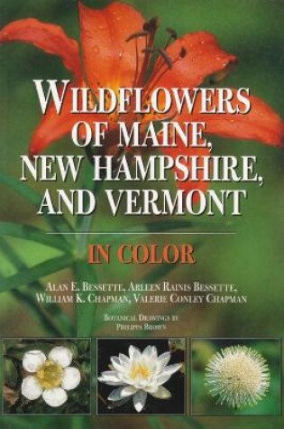 Cover of Wildflowers of Maine, New Hampshire, and Vermont in Color