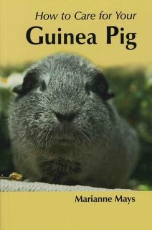 Cover of How to Care for Your Guinea Pig