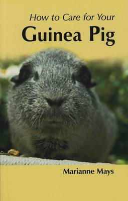 Book cover for How to Care for Your Guinea Pig