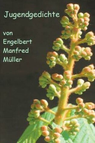 Cover of Jugendgedichte