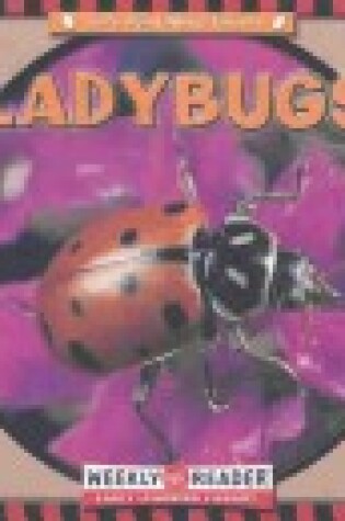 Cover of Ladybugs