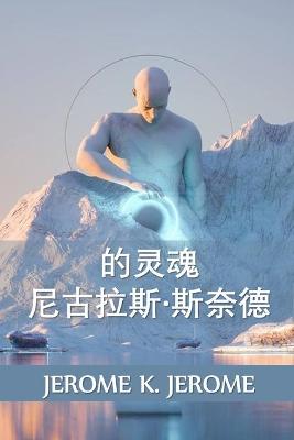 Book cover for 尼古拉斯-斯奈德的灵魂