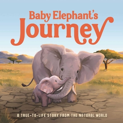 Book cover for Baby Elephant's Journey