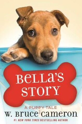 Cover of Bella's Story
