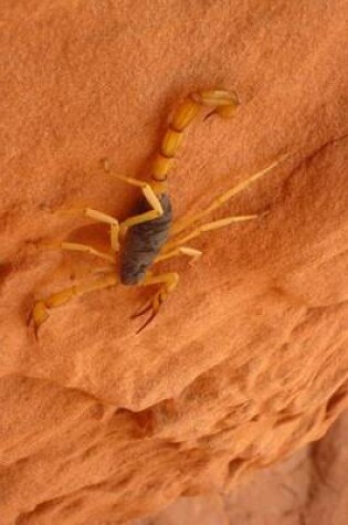 Cover of Giant Desert Hairy Scorpion on a Rock