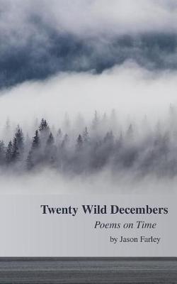 Book cover for Twenty Wild Decembers