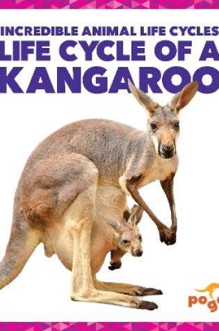 Cover of Life Cycle of a Kangaroo