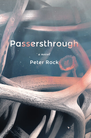 Cover of Passersthrough