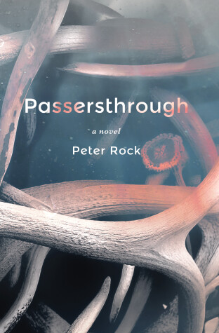 Book cover for Passersthrough