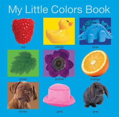 Book cover for My Little Colors Book