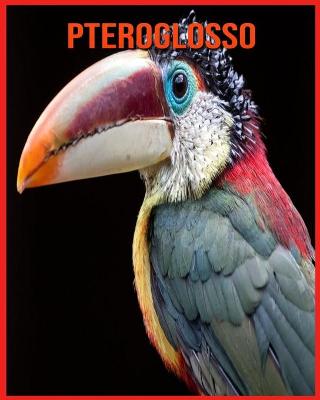 Book cover for Pteroglosso