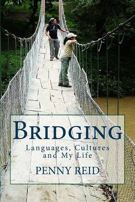 Book cover for Bridging