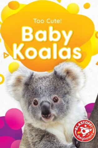 Cover of Baby Koalas