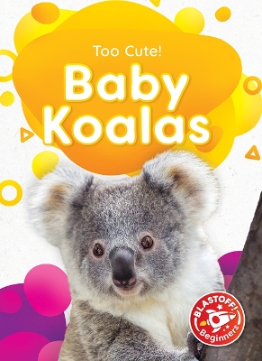 Book cover for Baby Koalas