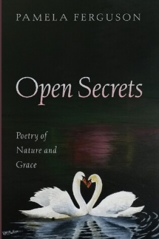 Cover of Open Secrets