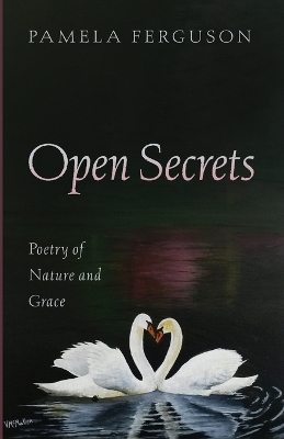 Book cover for Open Secrets