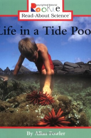 Cover of Life in a Tide Pool