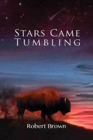 Cover of Stars Came Tumbling