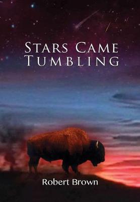 Book cover for Stars Came Tumbling