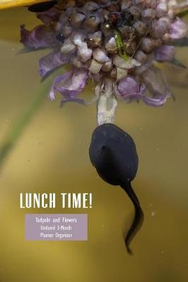 Book cover for Lunchtime! Tadpole Undated 3-Month Planner Organizer