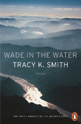 Book cover for Wade in the Water