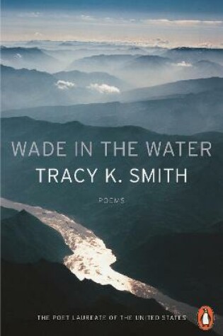 Cover of Wade in the Water