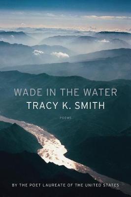 Book cover for Wade in the Water