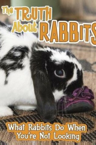 Cover of The Truth about Rabbits