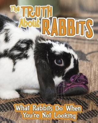 Book cover for The Truth about Rabbits