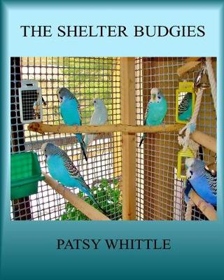 Book cover for The Shelter Budgies