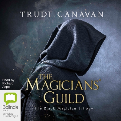 Book cover for The Magicians' Guild