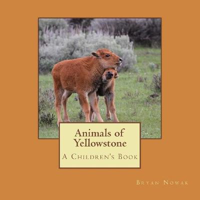 Book cover for Animals of Yellowstone