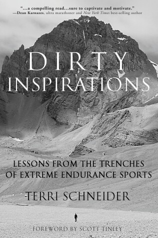 Book cover for Dirty Inspirations