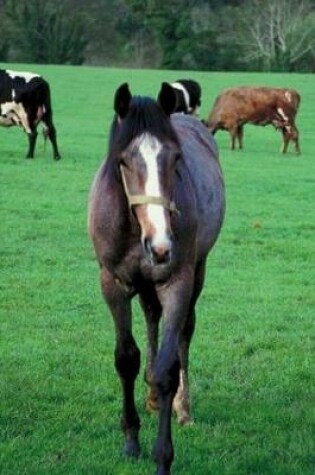 Cover of 2020 Daily Planner Horse Photo Equine Farm Animal Pasture 388 Pages