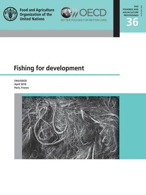 Book cover for The Development Dimension Fishing for Development