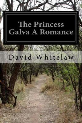 Book cover for The Princess Galva A Romance