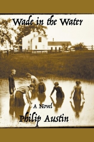 Cover of Wade in the Water