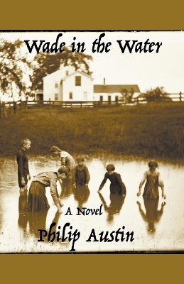 Book cover for Wade in the Water