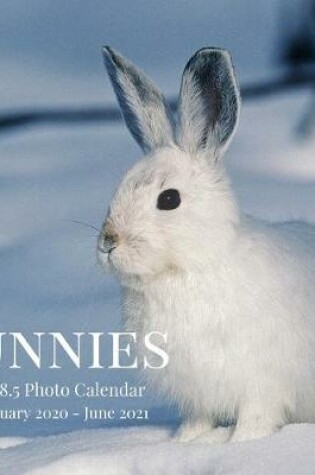 Cover of Bunnies 8.5 X 8.5 Photo Calendar January 2020 - June 2021