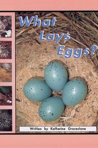 Cover of What Lays Eggs? (7)