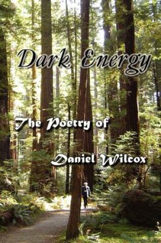 Cover of Dark Energy