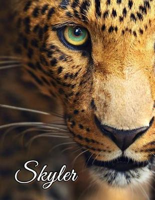 Book cover for Skyler